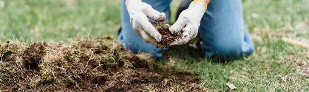 Bemesten van je tuin in september 