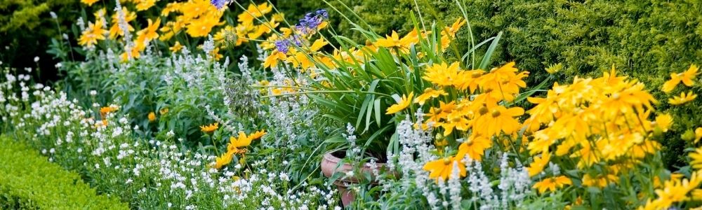 Onderhoudsvriendelijke plantenborder