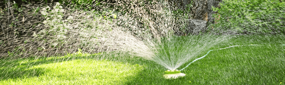 Water geven in de zomer