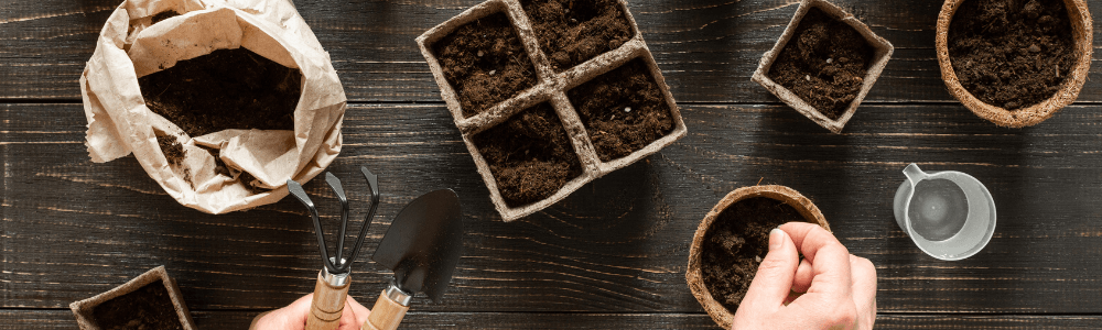 Moestuin in potten en bakken