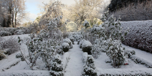 wintertuin