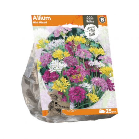 Sierui mini mixed 25 stuks