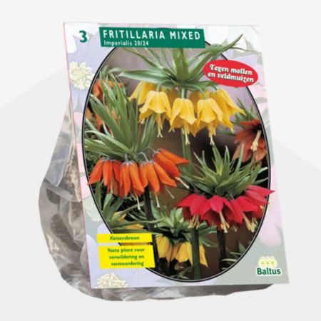 keizerskroon mix 3 stuks