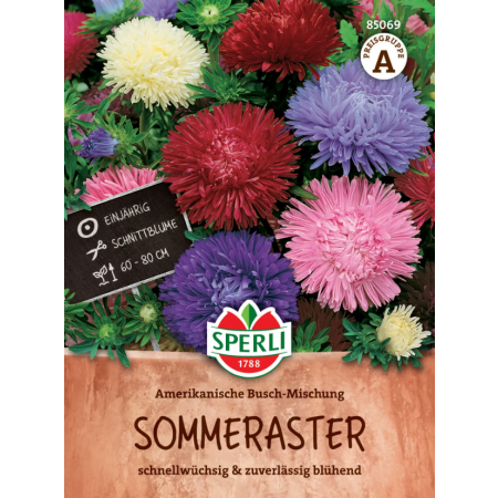 Asterzaad American Bush Mix