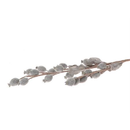 Stem Papaver l50.0w12.0h100.0 Grey