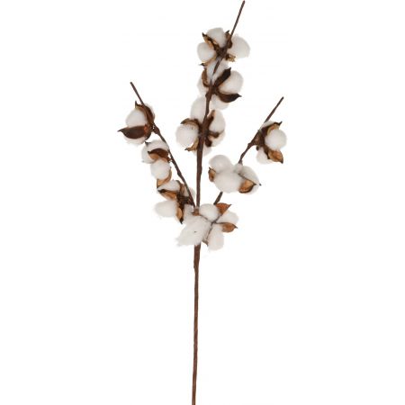 KATOENTAK 9 KNOPS 54CM