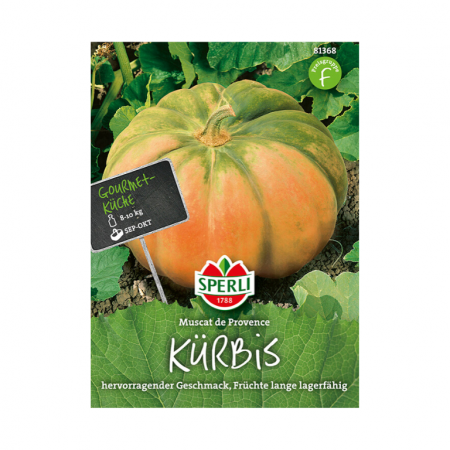 kürbis / moschuskürbis 'muscat de provence'