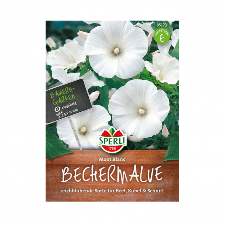 bechermalve 'mont blanc '