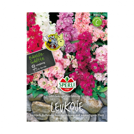levkoje 'großblumige prachtmischung'
