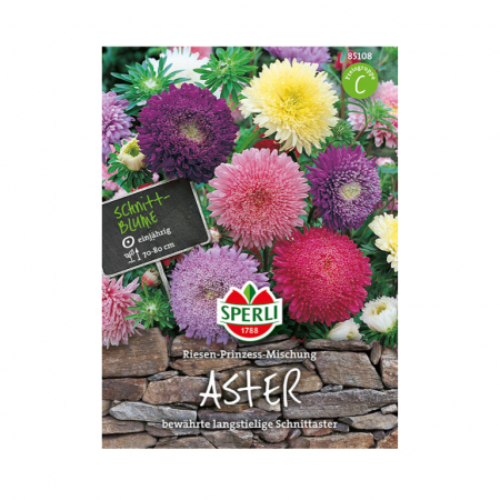 Prinzeß-Aster 'Riesen-Prinzess-Mischung '