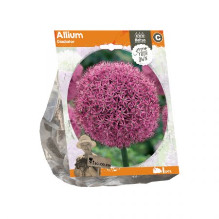 Sierui Gladiator 1 stuk