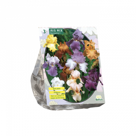 Iris Germanica gemengd per 3 stuks