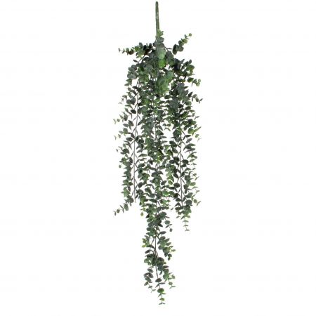 Eucalyptus hangend groen - l78xb22xh5cm
