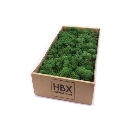 Moss Reindeer 500g Moss Green
