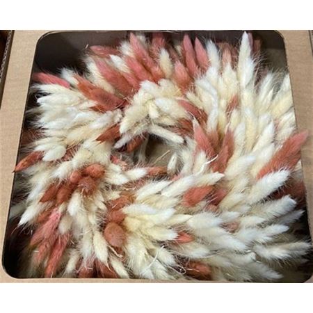 Wreath Lagurus d30h9 Mixed Colours