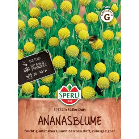 ananasblume  'sperli´s süßer duft '