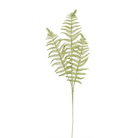 Varenblad groen - l79cm