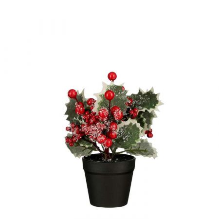 Hulst bessen in pot groen - h20xd10cm
