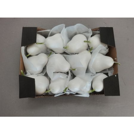Pear Doyenne Wax H6.5D6 White