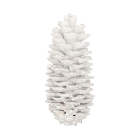 Pinecone Sugar Wax Slv L35 White