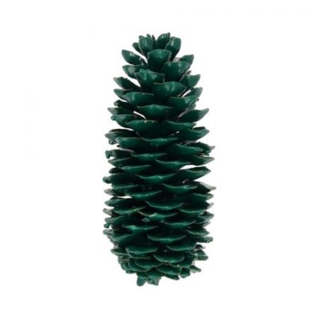 Pinecone Sugar Wax Slv L35 Dark Green