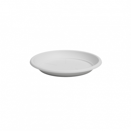 5cm wit