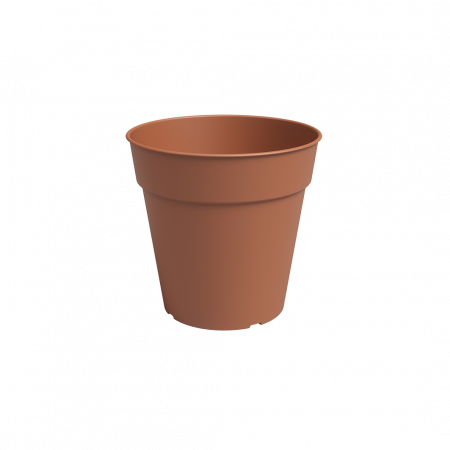 Kweekpot Madagascar terra