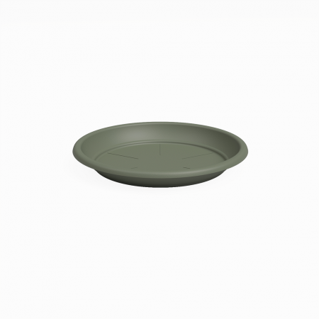 Schotel Rond Asgroen