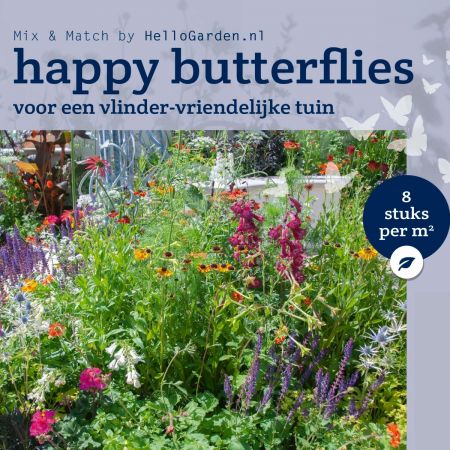 Vlindertuin - Borderpakket Happy Butterflies 24 m2 (192 vaste planten)
