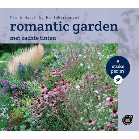 Rood-roze-witte tuin - Borderpakket Romantic Garden 6 m2 (48 vaste planten)