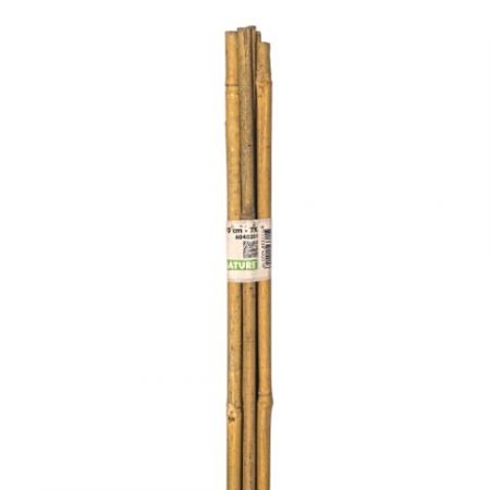 Bamboestok h90 cm (7 stuks)