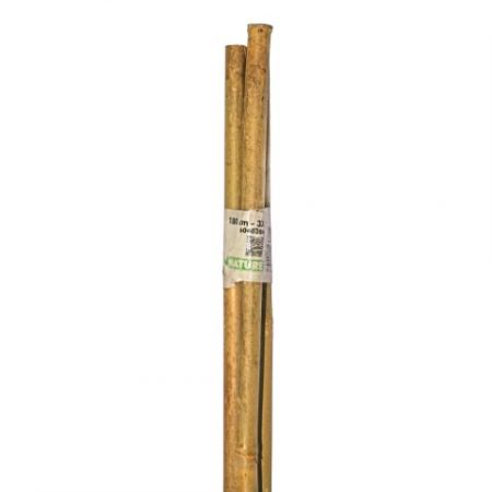 Bamboestok h180 cm (3 stuks)