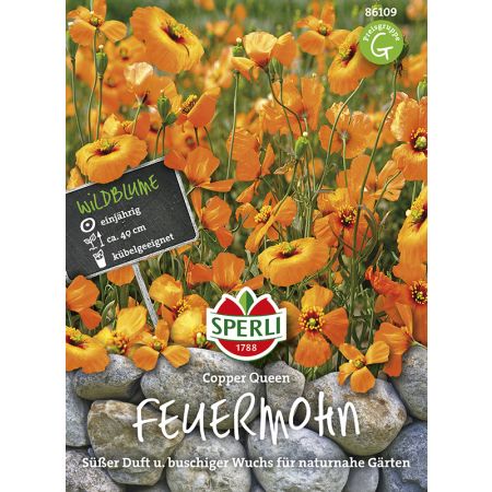 Feuermohn 'copper queen'