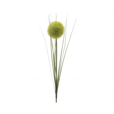 Allium plastic groen H.66cm
D.7cm