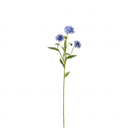 Korenbloem blauw - l62cm
