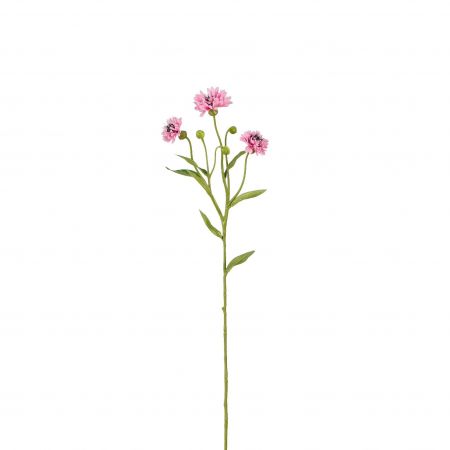 Korenbloem roze - l62cm
