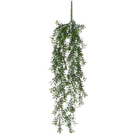 Buxus hangend groen - l74xb20xh10cm
