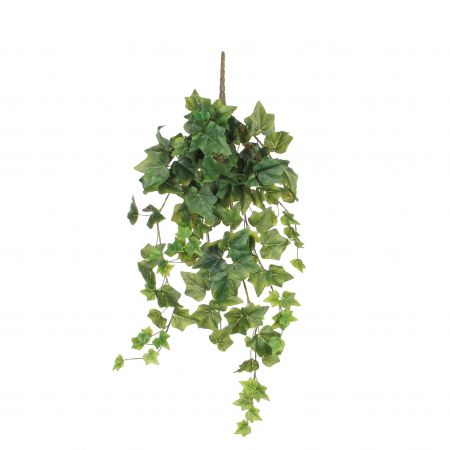 Hedera hangend groen - l71xb20xh15cm
