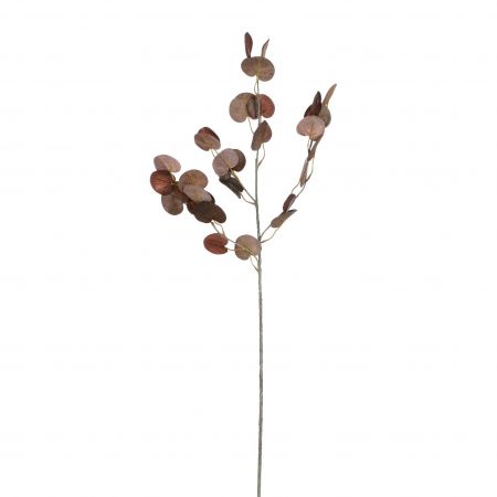 Eucalyptus blad tak bruin - l73cm 147727 brown01
