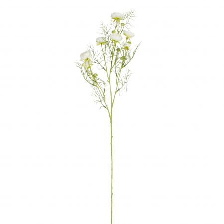 Ranunculus creme - l74cm 127599 cream01

