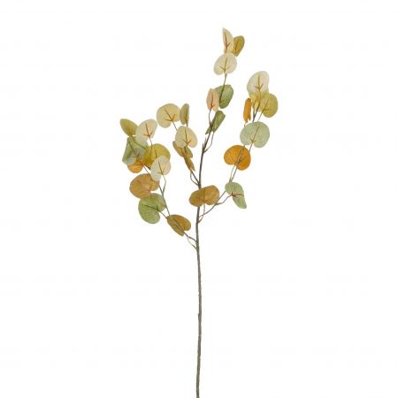 Eucalyptus blad tak groen - l73cm 147727 browngreen01
