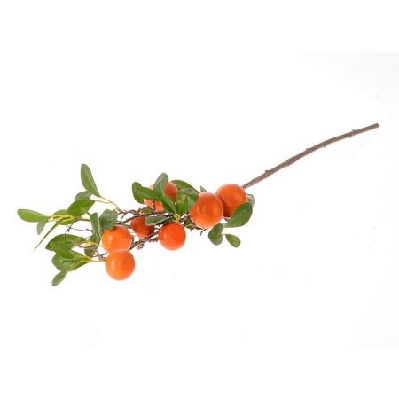 Stem Clementine Plant l90w30h20 Orange