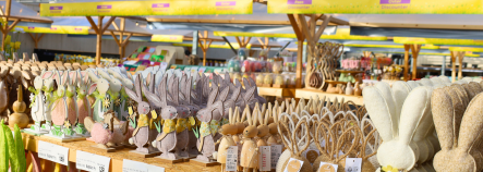 Diverse haagplanten bij Budgetplant, scherp geprijsd en verkrijgbaar online of in de winkel